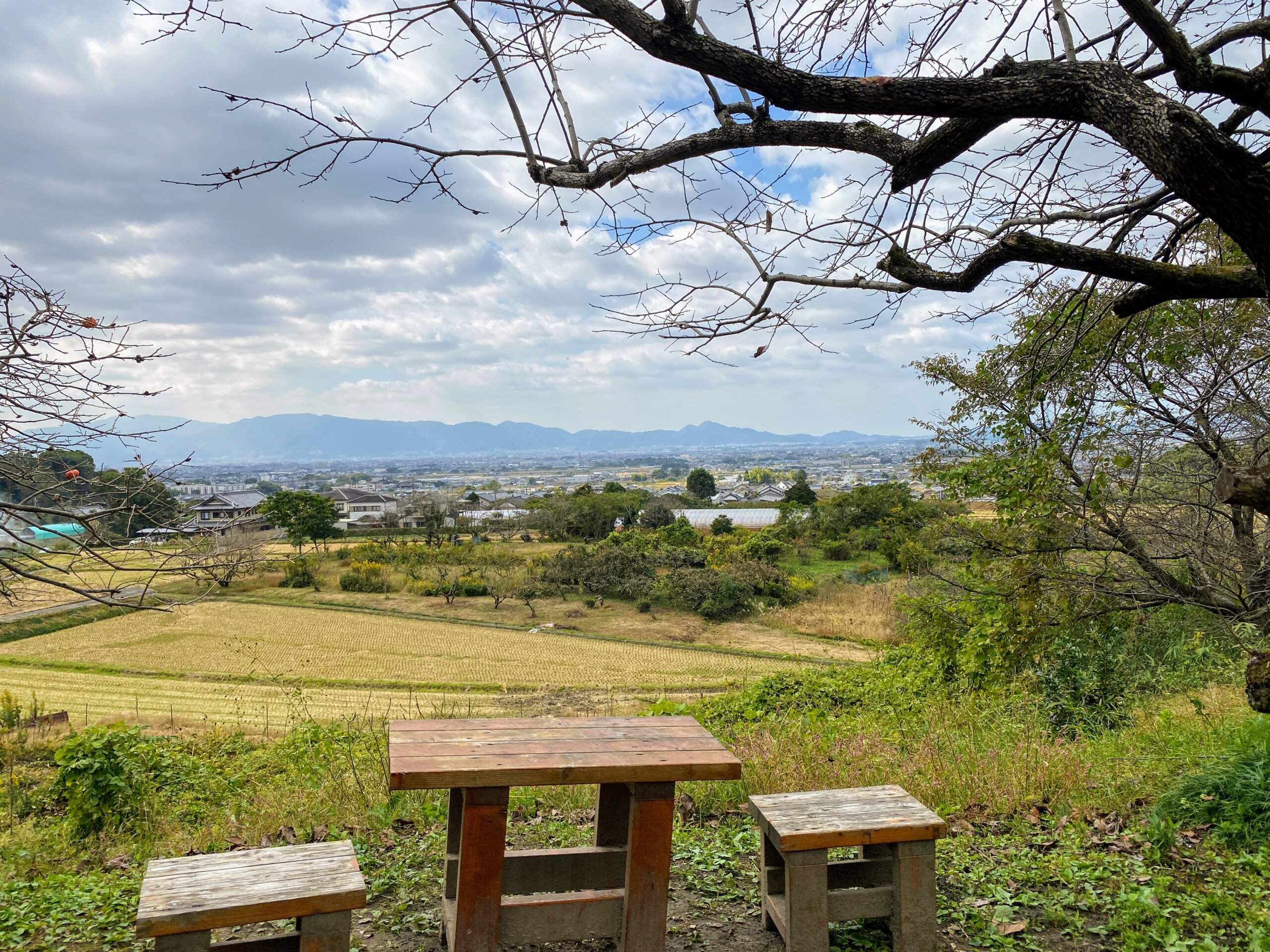 🌳 이코마 산기슭 공원(이코마산로쿠코엔) 이미지 7